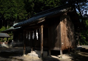 DSC04856