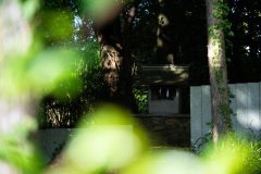 DSC04864