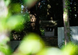DSC04864