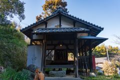 DSC09913-Enhanced-NR