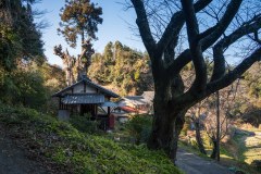 DSC09917-Enhanced-NR