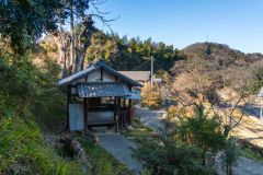 DSC09919-Enhanced-NR