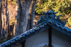 DSC09921-Enhanced-NR