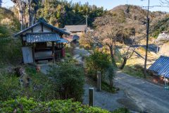 DSC09922-Enhanced-NR