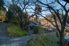 DSC09923-Enhanced-NR