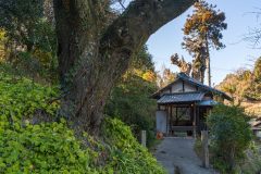 DSC09925-Enhanced-NR