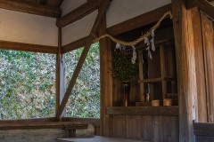 DSC09928-Enhanced-NR