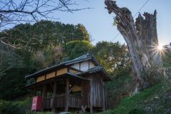 DSC09932-Enhanced-NR