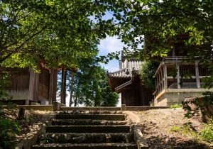 DSC06401