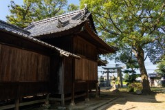 DSC07818