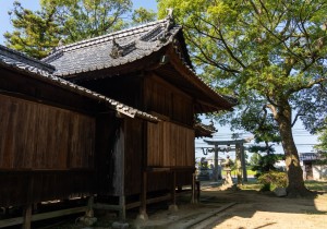 DSC07818