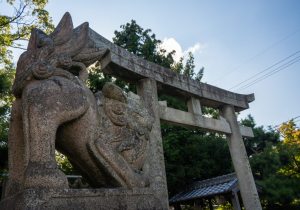 DSC07829