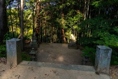 DSC07287