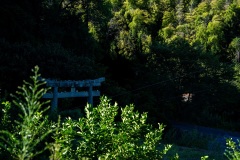 DSC07300