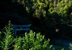 DSC07300