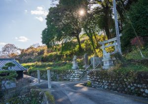 SBJ04733
