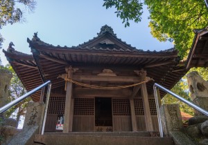 SBJ04747