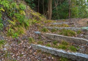 SBJ01685
