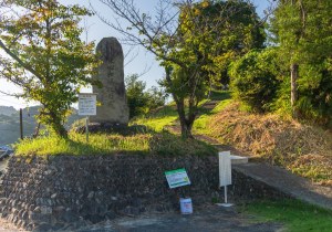 SBJ07567