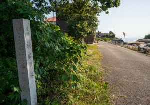 SBJ07093