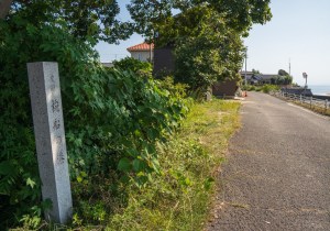 SBJ07095