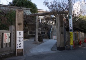 SBJ07511