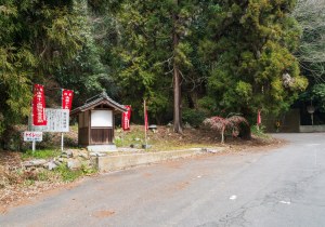 SBJ03855