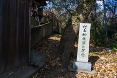 DSC07107