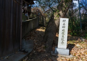 DSC07107