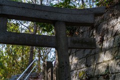 DSC07115