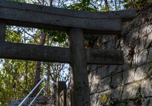 DSC07115