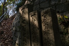 DSC07125