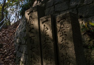 DSC07125