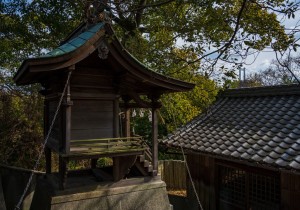 DSC07148