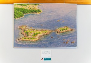 SBJ02148