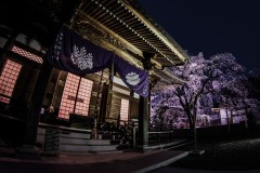 無量寺-4