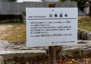 SBJ04413