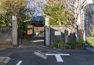 SBJ08141
