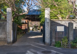 SBJ08169