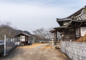 DSC00877