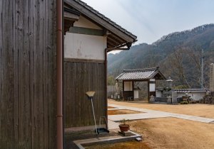 DSC00894