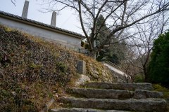 DSC00912