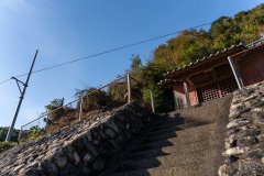 DSC03896