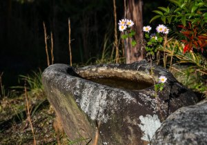 DSC03893