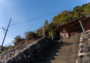 DSC03896