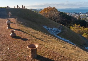 SBJ03245