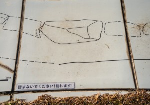 SBJ03251