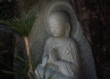 DSC00952
