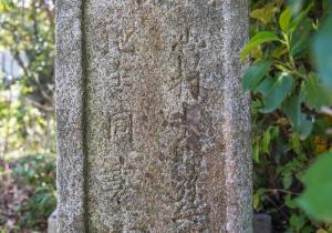 SBJ09040