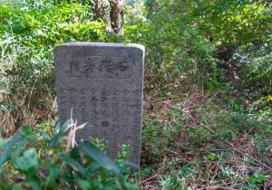 SBJ08137